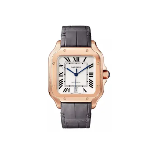 Cartier Santos de Cartier Large Automatic
