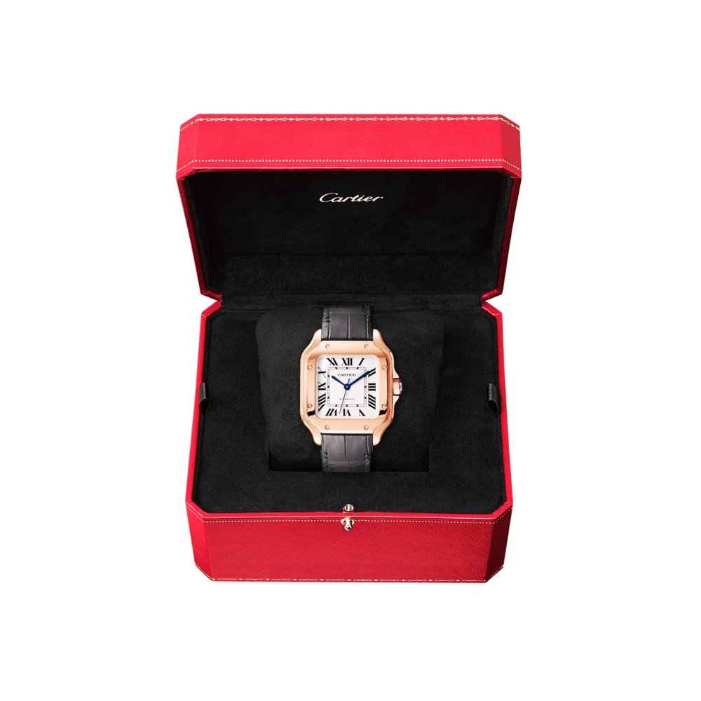 Cartier Santos de Cartier Large Automatic - Image 6