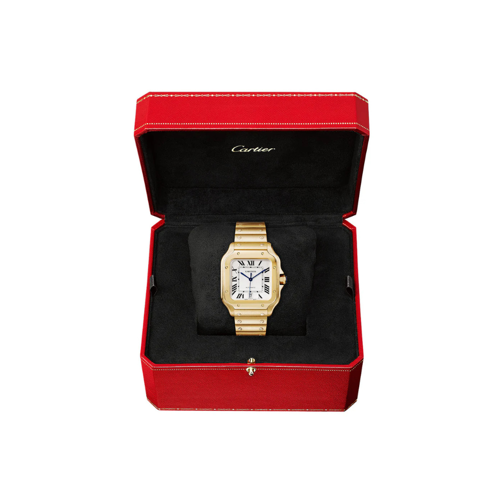 Santos de Cartier Large Automatic - Image 6