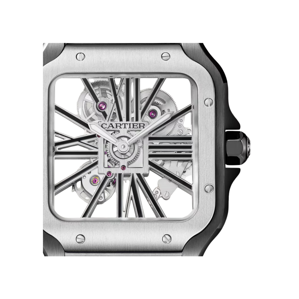 Santos de Cartier Large Skeleton ADLC - Image 2